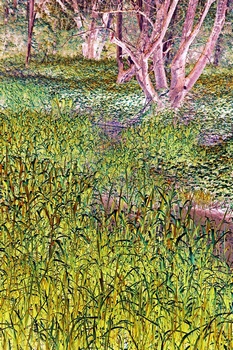 N 208A